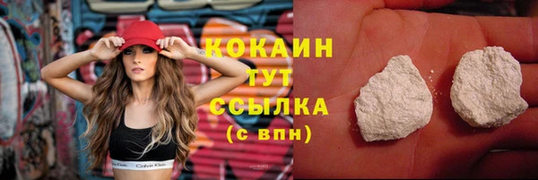 спиды Бородино