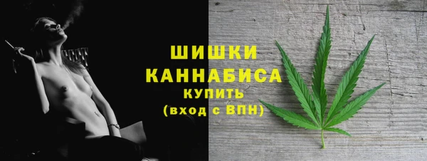спиды Бородино