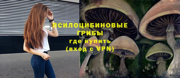 спиды Бородино