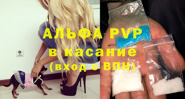 спиды Бородино
